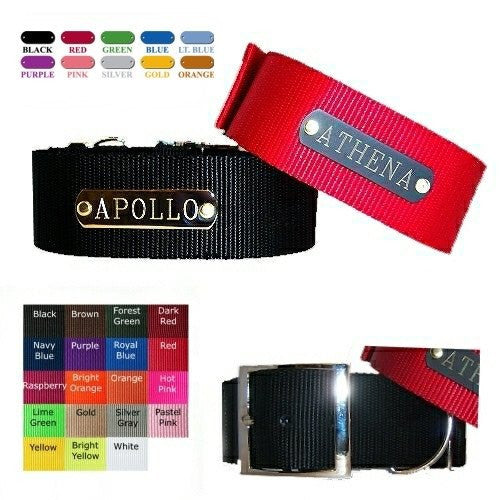1 1/2 Inch Wide Personalized Dog Collar - For medium to large dogs