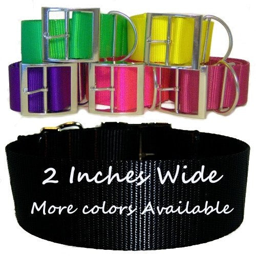 2 Inch Wide Big Dog Collar - For large dogs - dog-collar-fancy