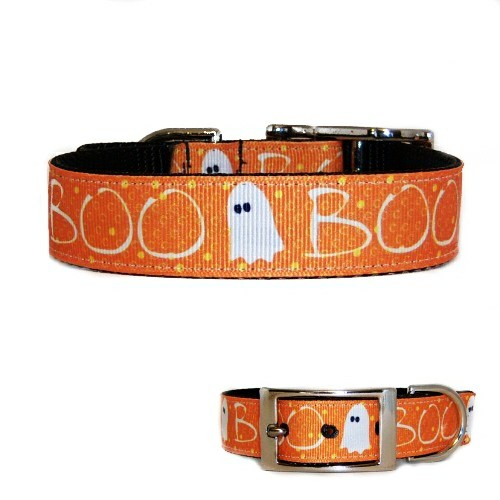 BOO Halloween Dog Collar - For medium to large dogs - dog-collar-fancy