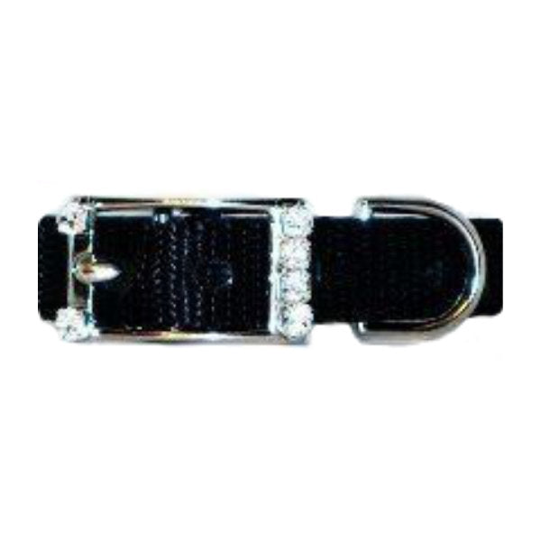 Jeweled buckle option for collars