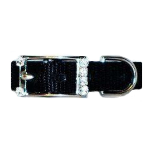 Jeweled buckle option for collars
