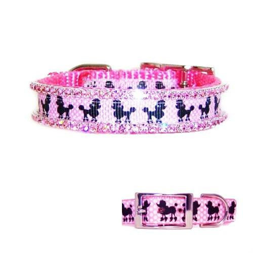 Poodle Bling Bling Dog Collar - For dogs and cats - dog-collar-fancy