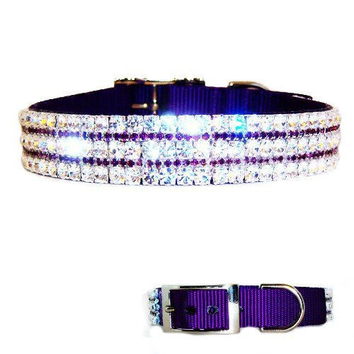 Purplicious Large Crystal Dog Collar - For medium to large dogs - dog-collar-fancy